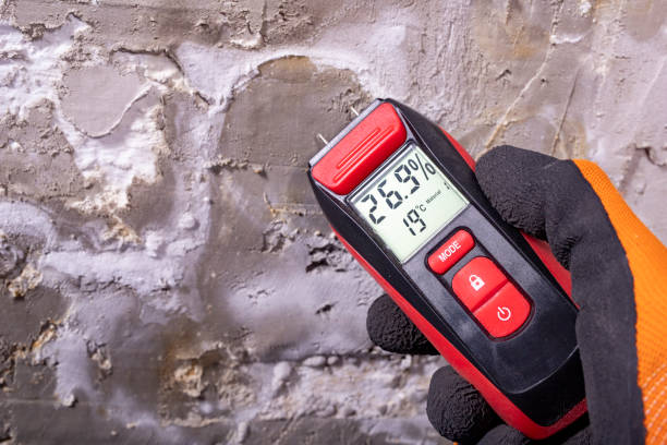 Best Certified Mold Removal  in Prospect Park, NJ